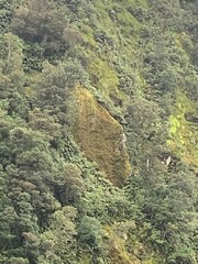 Milford Sound Cruise New Zealand
