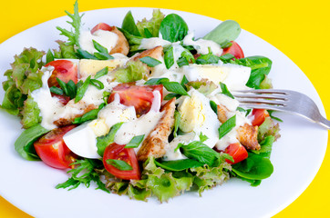 Salad of lettuce, egg, chicken pieces, mayonnaise on white plate on yellow background