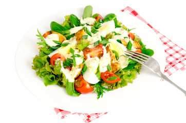 Salad of fresh vegetables, eggs, chicken meat with white sauce.