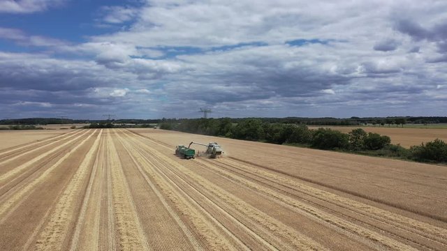 Ein M&auml;hdrescher &uuml;bergibt das Korn an einen Traktor mit Anh&auml;ngern 