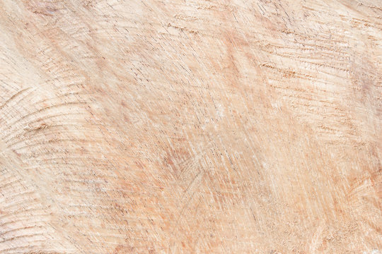 Light Raw Wood Texture Images – Browse 10,853 Stock Photos, Vectors, and  Video | Adobe Stock