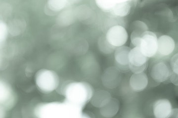 Gray blurred backdrop of nature, circle white wallpaper, gray bokeh background