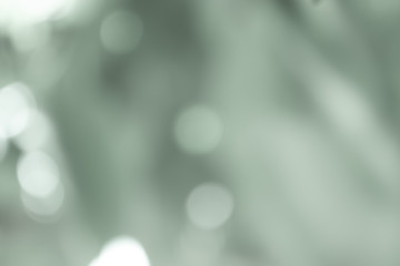 Gray blurred backdrop of nature, circle white wallpaper, gray bokeh background