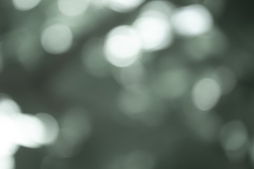 Obraz premium Gray blurred backdrop of nature, circle white wallpaper, gray bokeh background