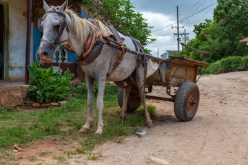 Horse Carriage in the streets of a small Cuban Town during a vibrant sunny day. Taken in Trinidad,...