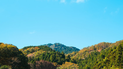 Fototapeta na wymiar Colourful mountain in autumn season background in Japan