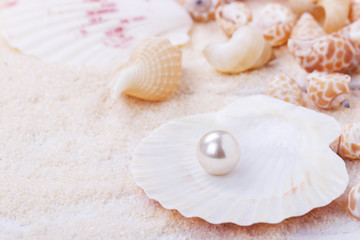 Natural pearl in a shell