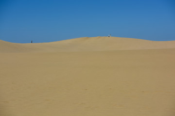 Fototapeta na wymiar sand dune with clear blue sky in sunny day