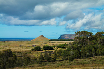The slopes of Rano Raraku volcano, Easter Island, Chile, where ancient Rapa Nui people carved the...