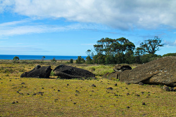 The slopes of Rano Raraku volcano, Easter Island, Chile, where ancient Rapa Nui people carved the...