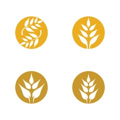 Agriculture wheat logo template vector icon