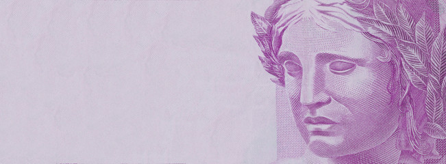 Five bill money. Republic's Effigy bust on Brazilian money. Space for text.