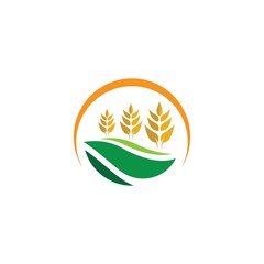 Agriculture wheat logo template vector icon