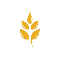 Agriculture wheat logo template vector icon