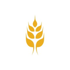 Agriculture wheat logo template vector icon