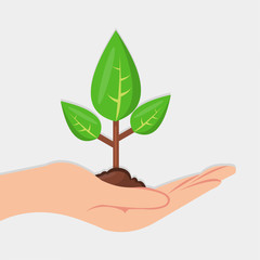 Fototapeta na wymiar hand holding plant for eco friendly symbol vector illustration