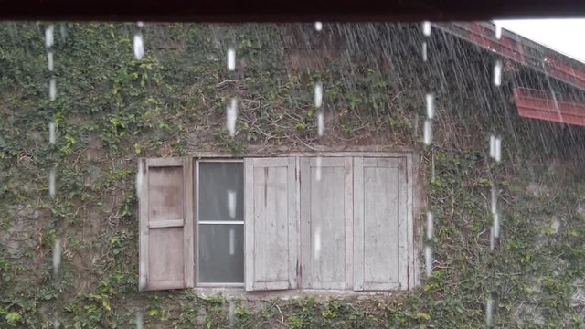 Cottage window during the storm and raindrops. Locked shot of Monsoon from balcony to wood bilds and ivy. Vang vieng, laos.