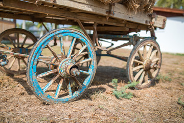 Fototapeta na wymiar Wheel of old wooden wagon. Old blue wooden horse cart wagon wheel or tire in farm.