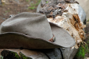 Cowboy Hat on a Log
