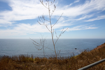 Fototapeta premium rancho palos verdes California LA