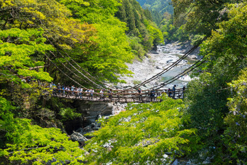 徳島　かずら橋