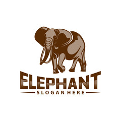 Elephant logo design vector. Animal logo template. Icon Symbol