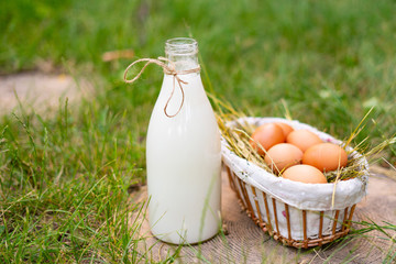 healthy fresh dairy products of milk and eggs on the farm