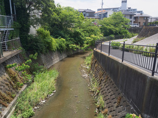神奈川県　野比川