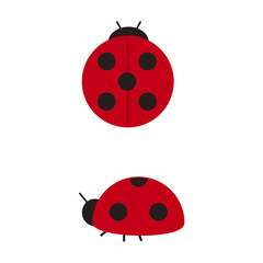 てんとうむし © 川崎市民団体Coaクラブ