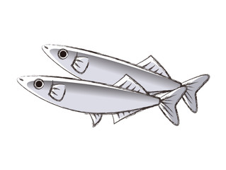 Obraz na płótnie Canvas 秋刀魚