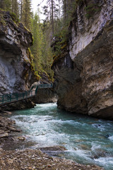 Fototapeta na wymiar river in banff national park on a popular hike