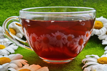At glass Cup of tea reflects the natural white daisy flowers arranged around it on a green grass background