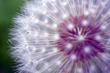 Naklejka premium difuminados 