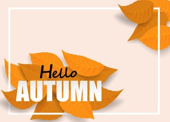 Fototapeta na wymiar Autumn sale background. design with autumn leaves on pink background. Vector.
