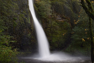 Fototapeta na wymiar Horsetail Falls in the Columbia River Gorge, Oregon