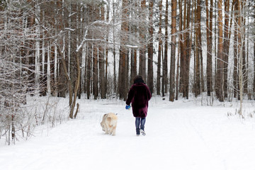 Fototapeta na wymiar Young woman is walking with her South Russian Shepherd Dog on a background of winter forest.