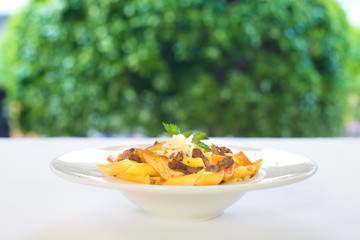 Italian Pasta, macaroni or penne with meat and cheese..