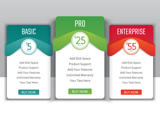 Pricing table in flat design style for your app's websites and applications.Hosting table banner.eps10 