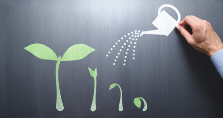 Business growth concept. Businessman drawing small plant on chalkboard.