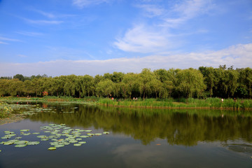 pond natural scenery, China