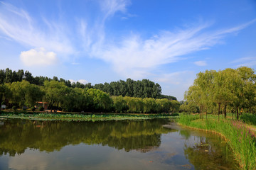 Fototapeta na wymiar pond natural scenery, China