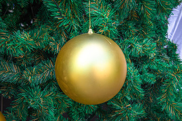 Fototapeta na wymiar Decoration of Christmas tree with hanging blue and gold ball.
