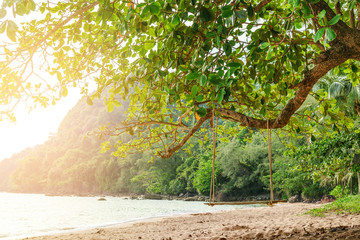 Rope wooden swing hanging on tree at topical beach with sunlight in Thailand