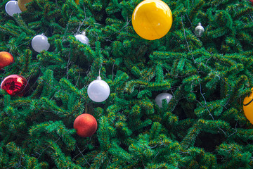 Decoration of  Christmas tree with  hanging yellow, red and blue ball.