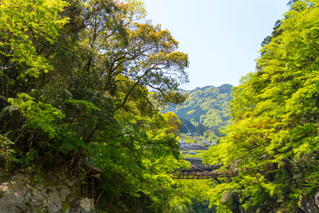徳島　かずら橋