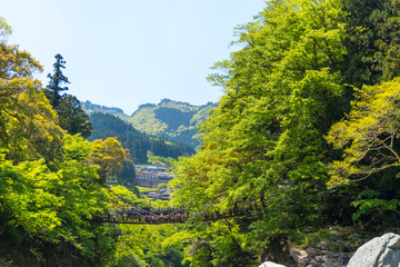 徳島　かずら橋