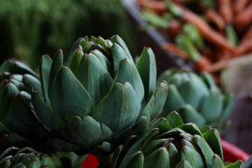  artichoke flower