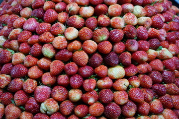 Pile of strawberries