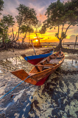 Fototapeta na wymiar sunlight in the mangrove complex