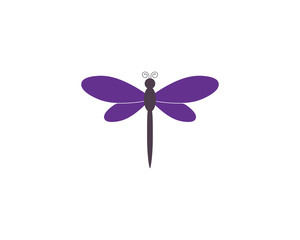 Dragonfly logo template vector icon illustration
